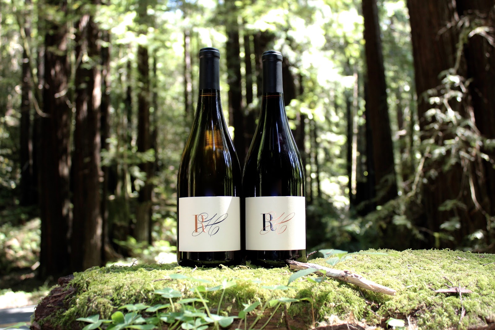 Read Holland Wines photo 1
