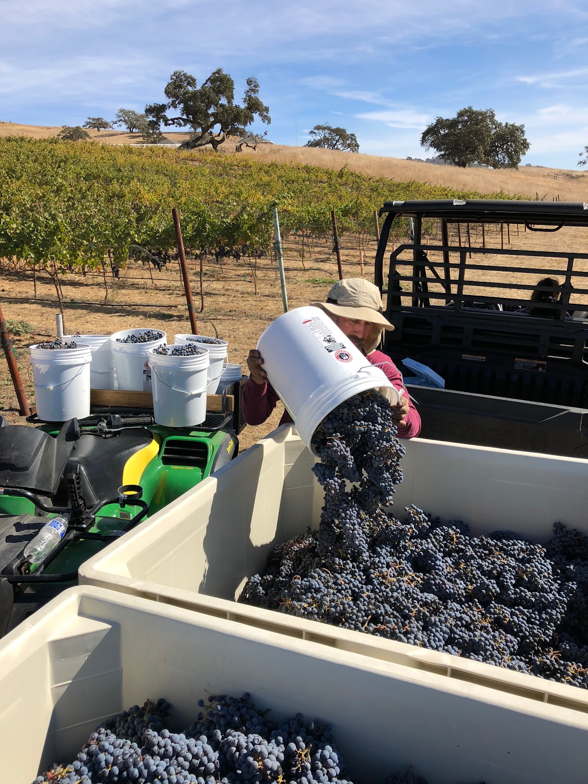 L&M Vineyard photo 6