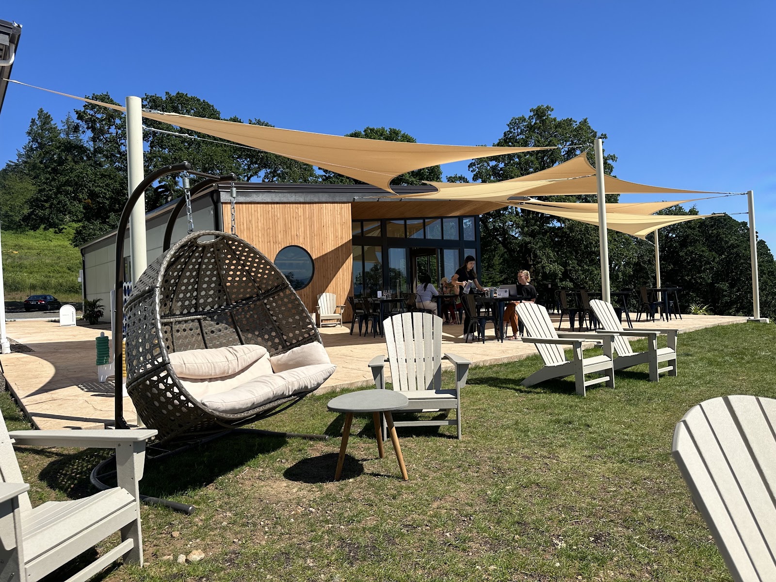 CHO Vineyards photo 6