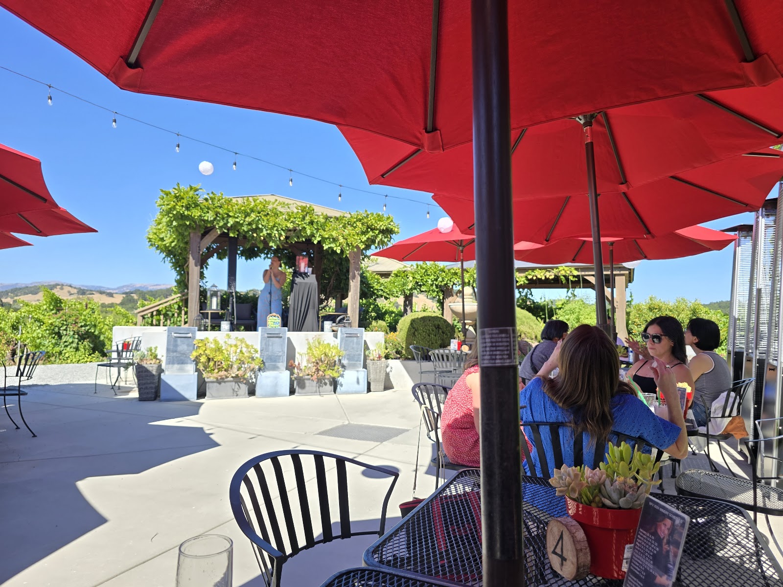 Besson Family Vineyards photo 4