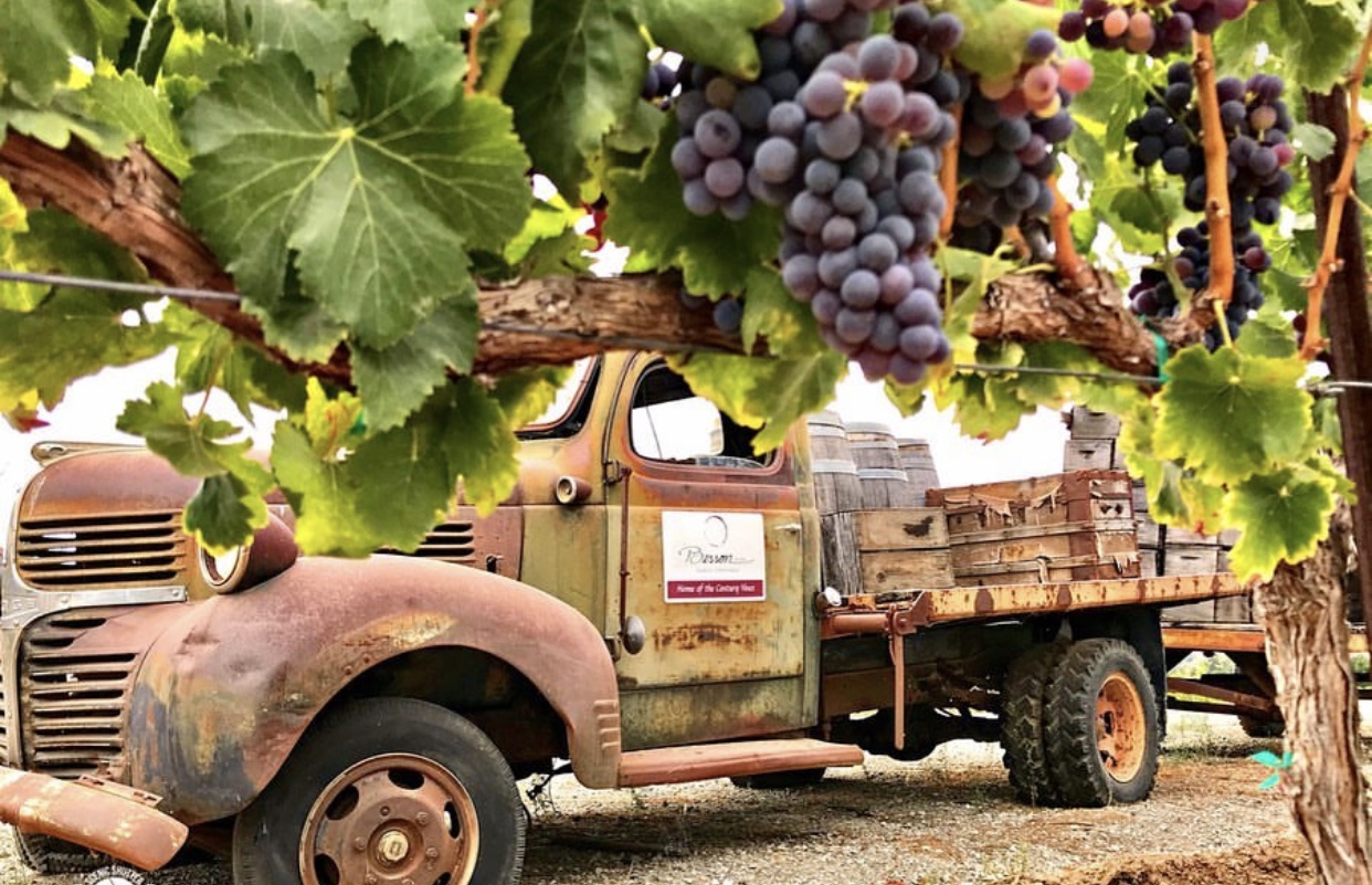 Besson Family Vineyards photo 5