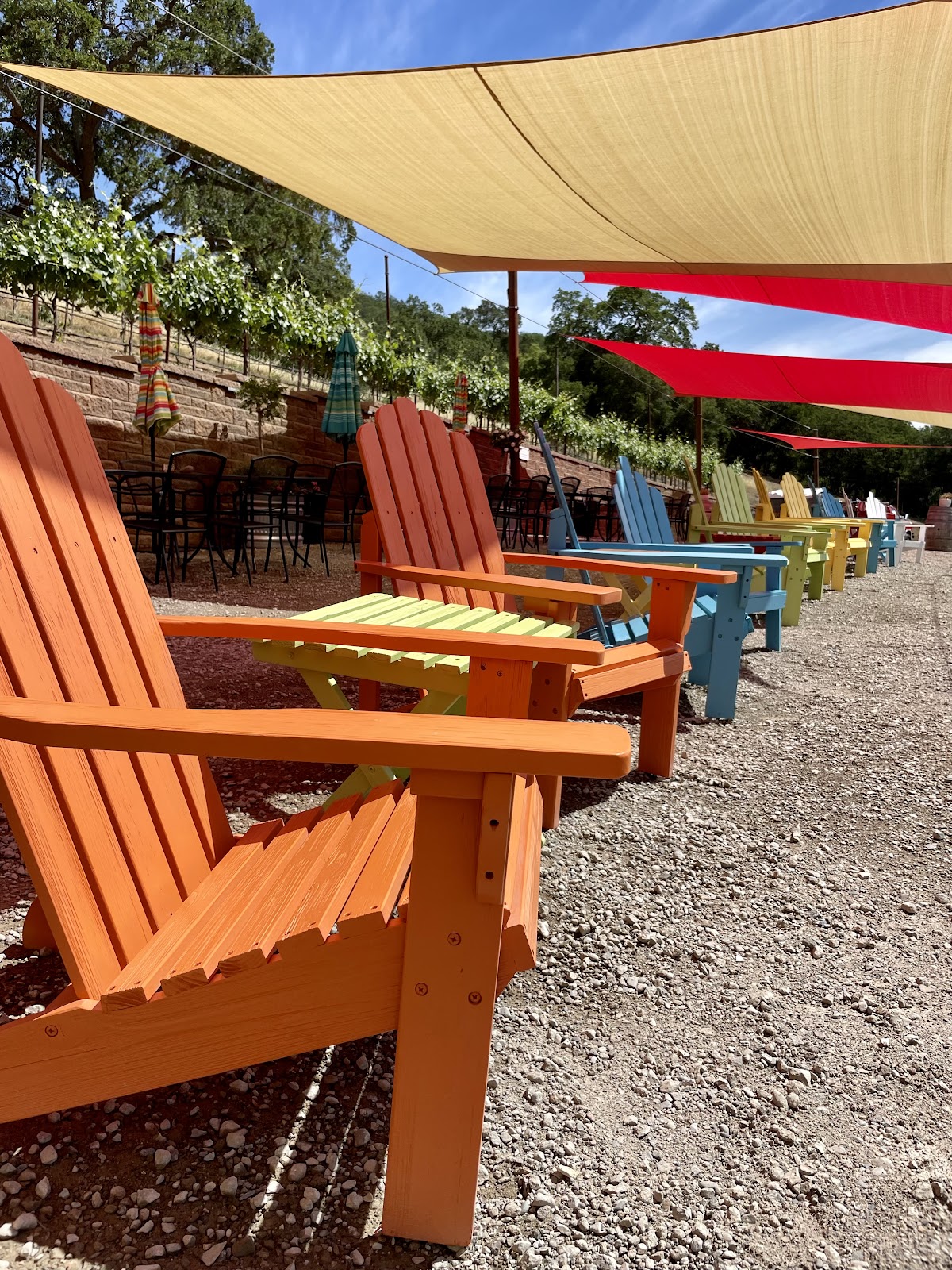 Alamitos Vineyards photo 5