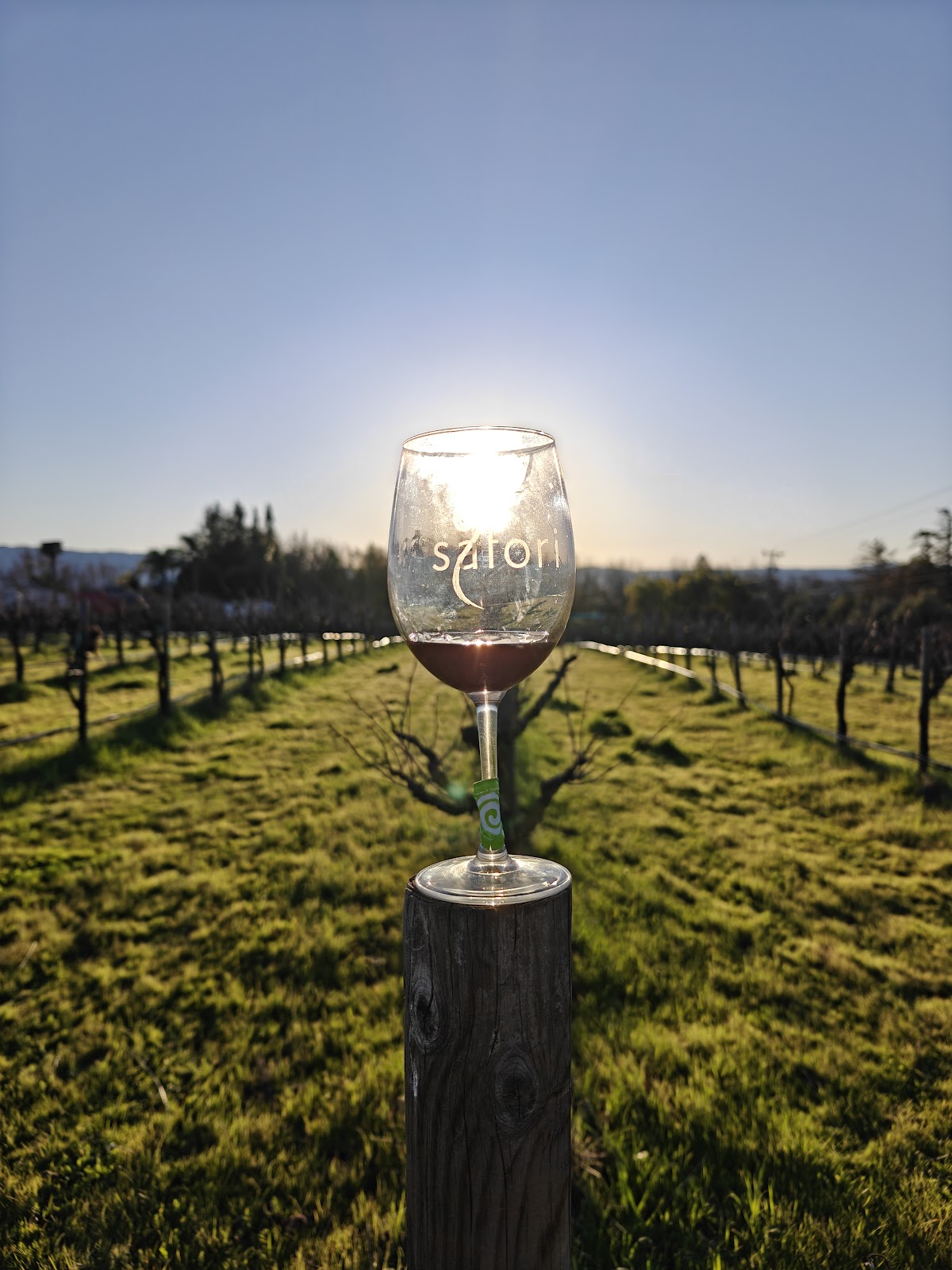 Satori Cellars photo 5