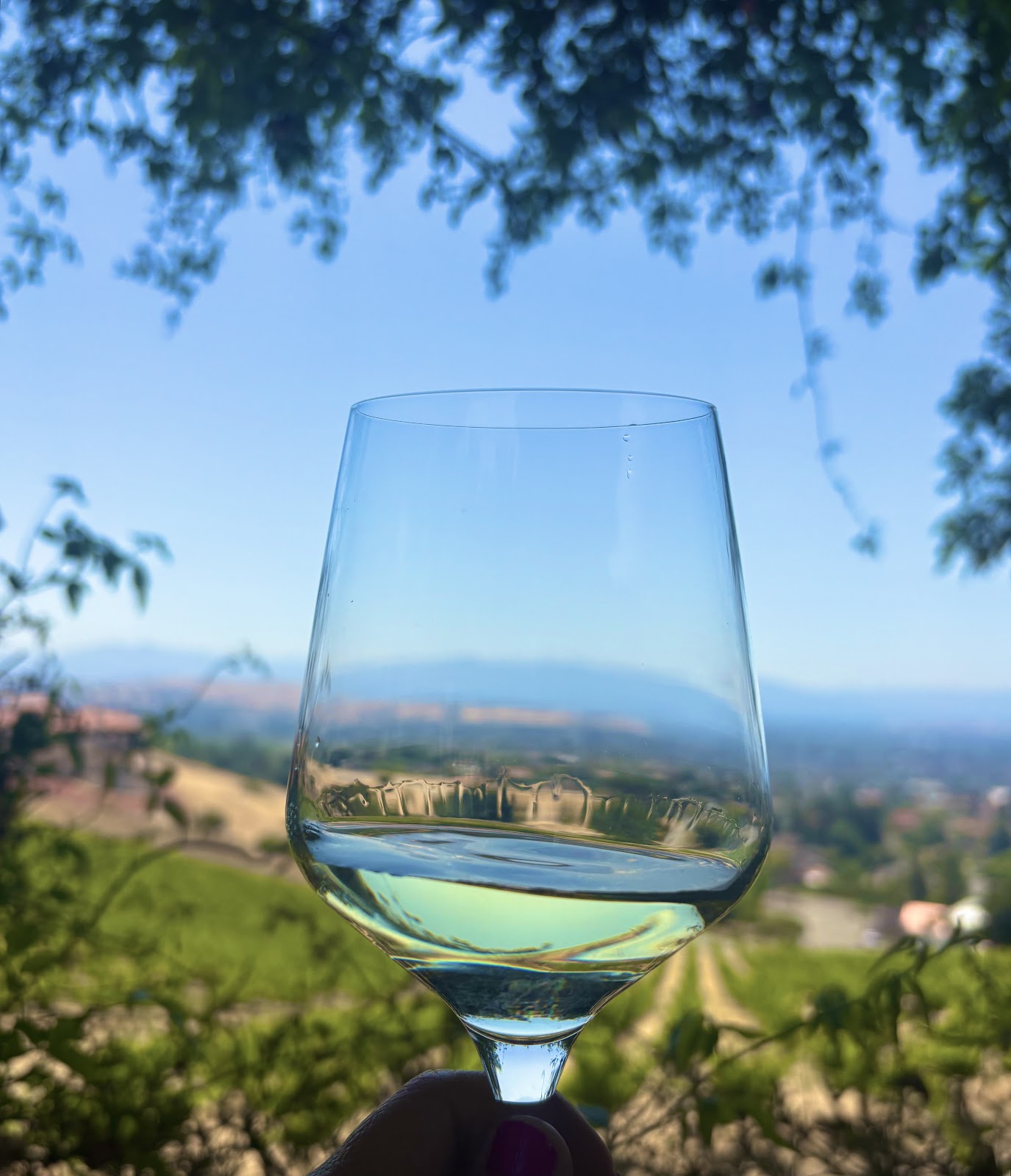 Bella Montagna Winery photo 4