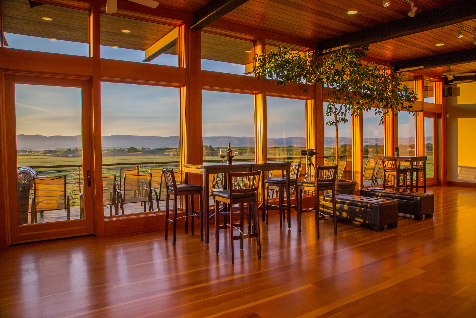 Amavi Cellars photo 4