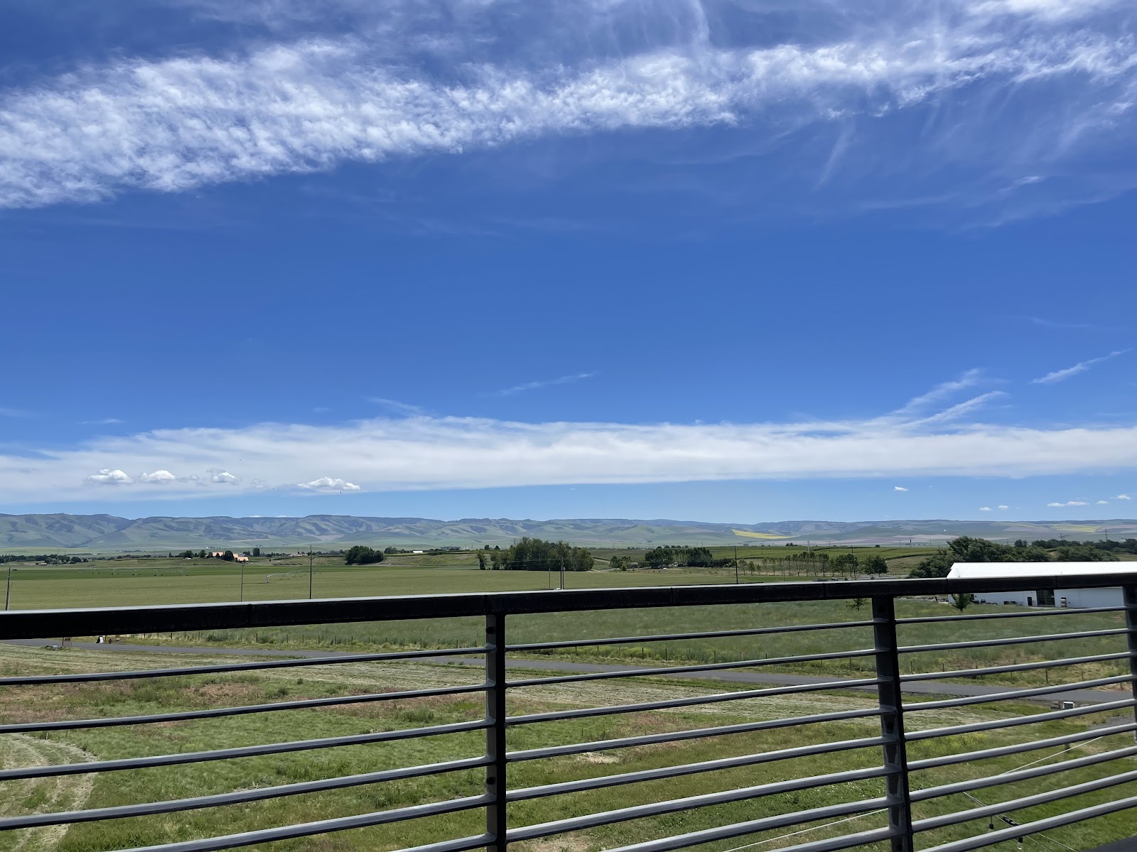 Amavi Cellars photo 5