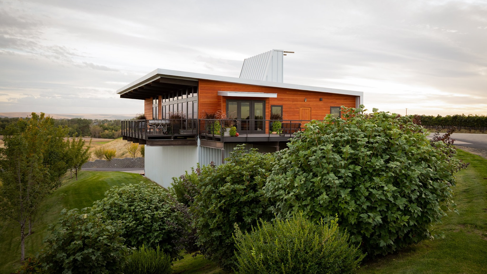 Amavi Cellars photo 1