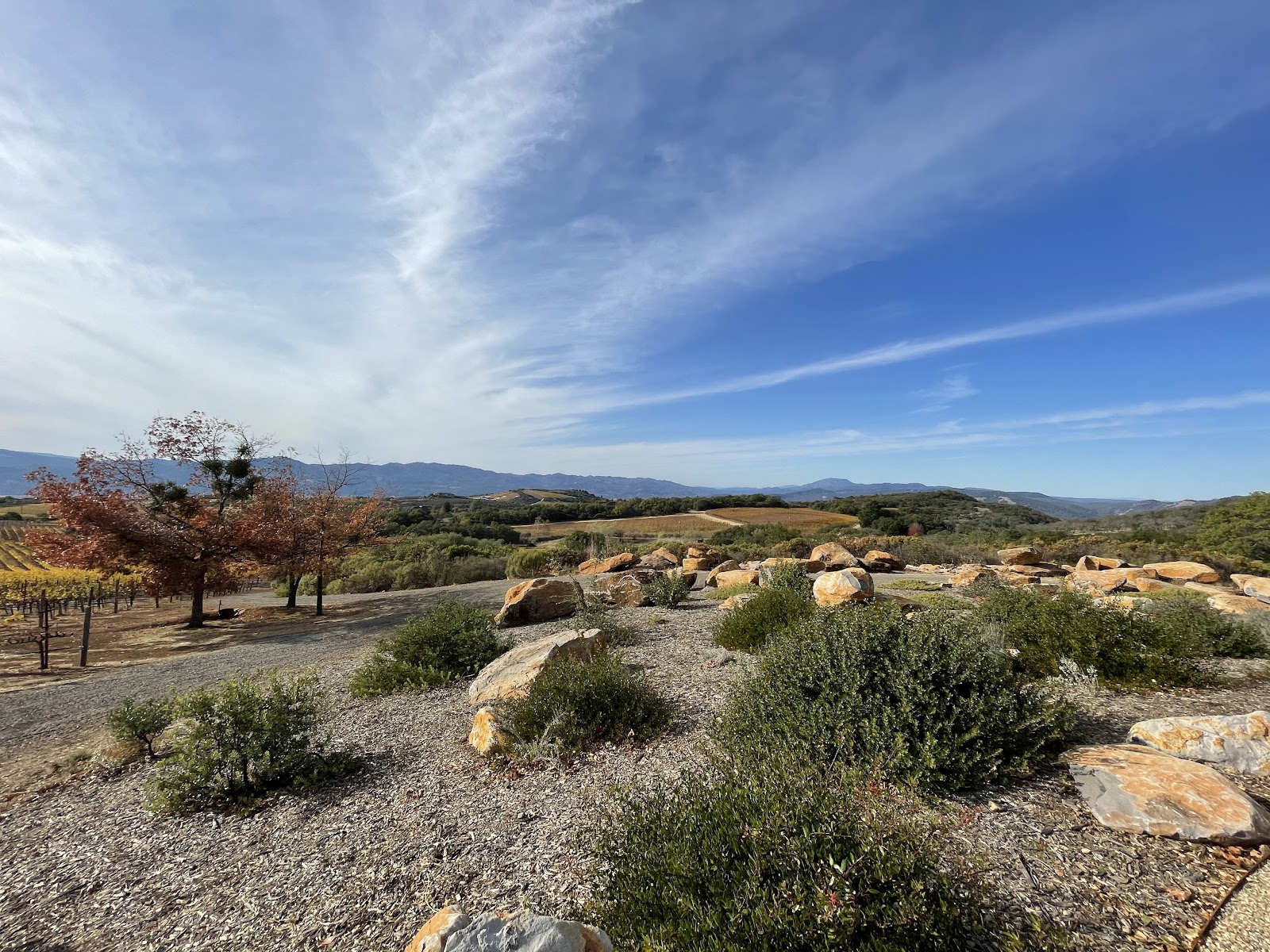 Continuum Estate photo 4