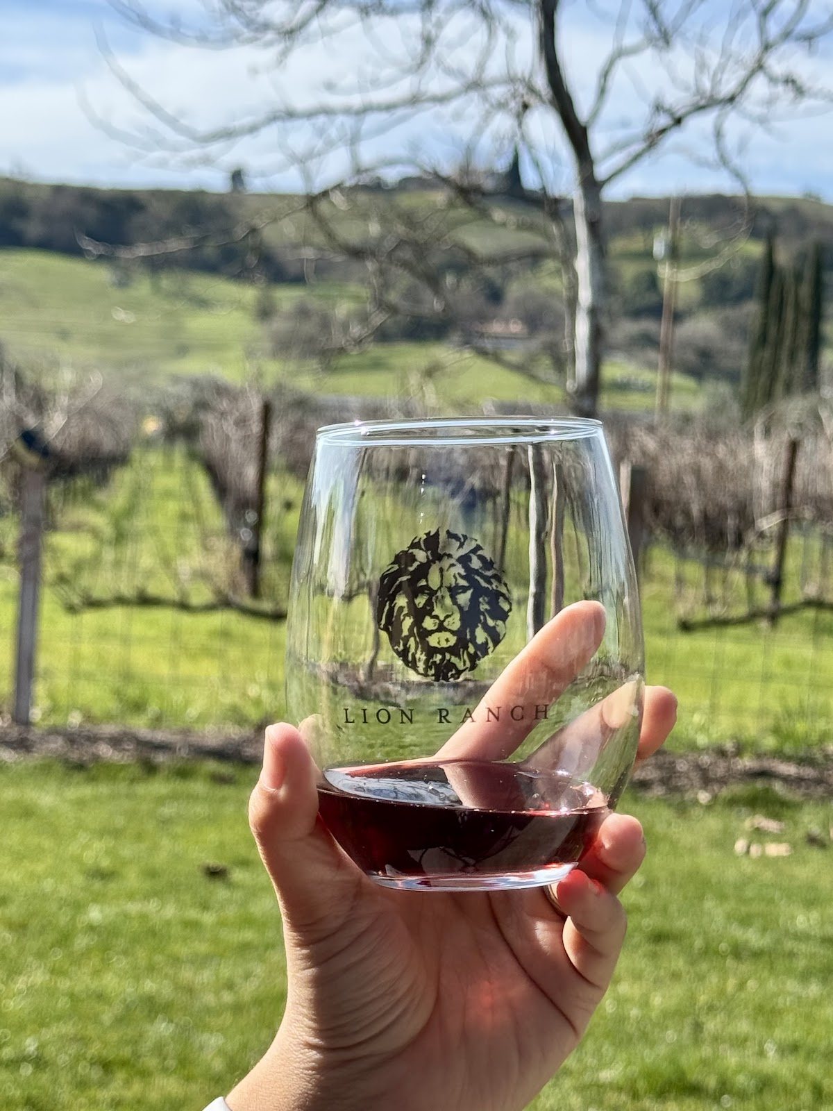 Lion Ranch Vineyard & Winery photo 4