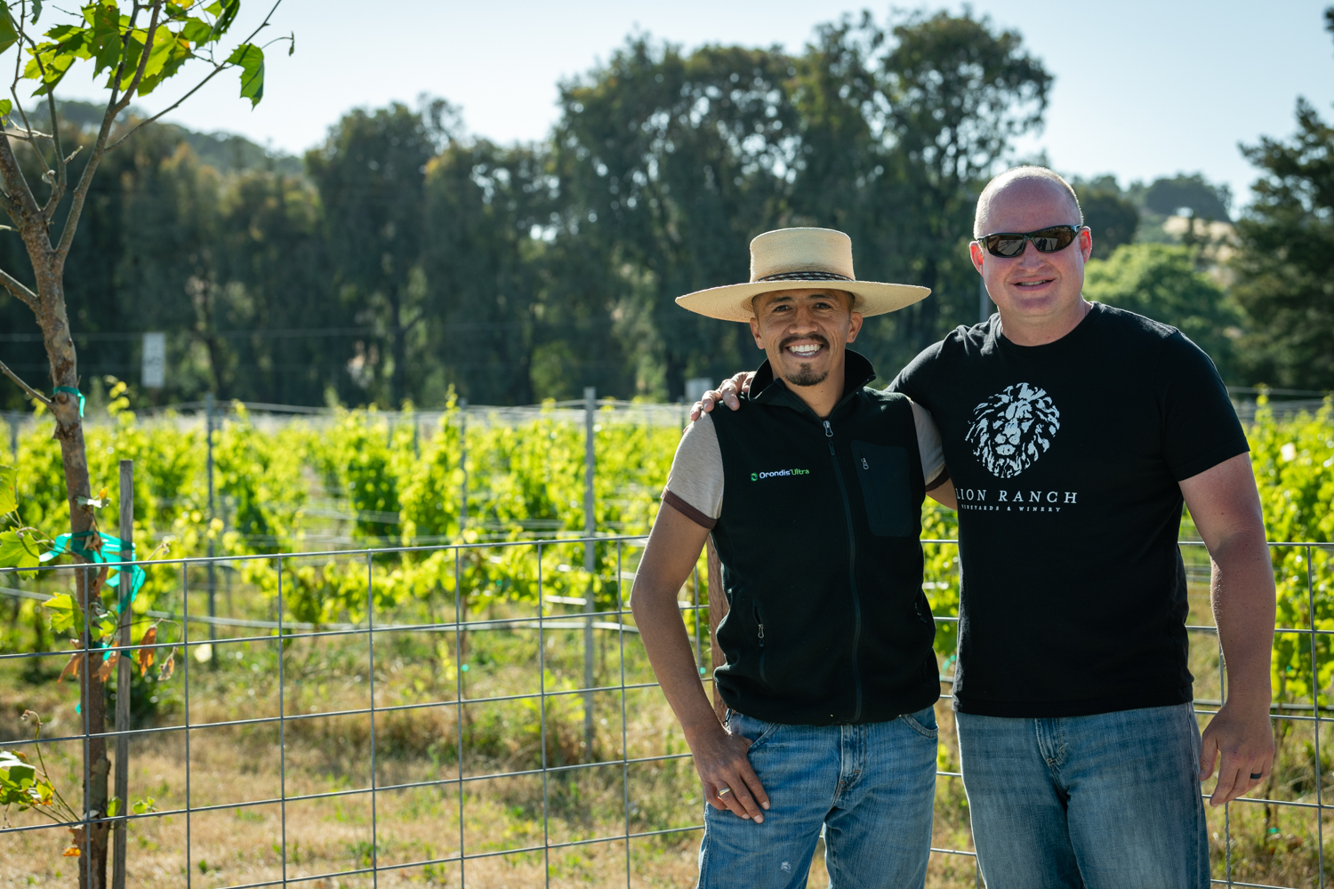 Lion Ranch Vineyard & Winery photo 5