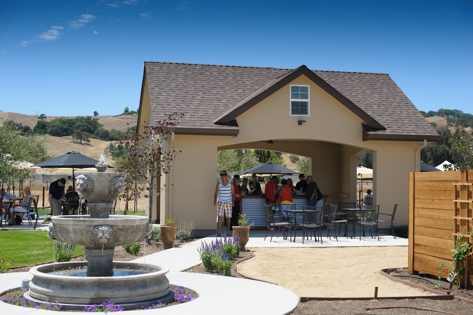 Lion Ranch Vineyard & Winery photo 6