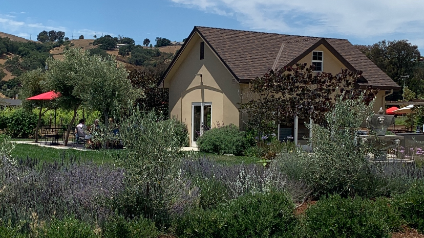 Lion Ranch Vineyard & Winery photo 1