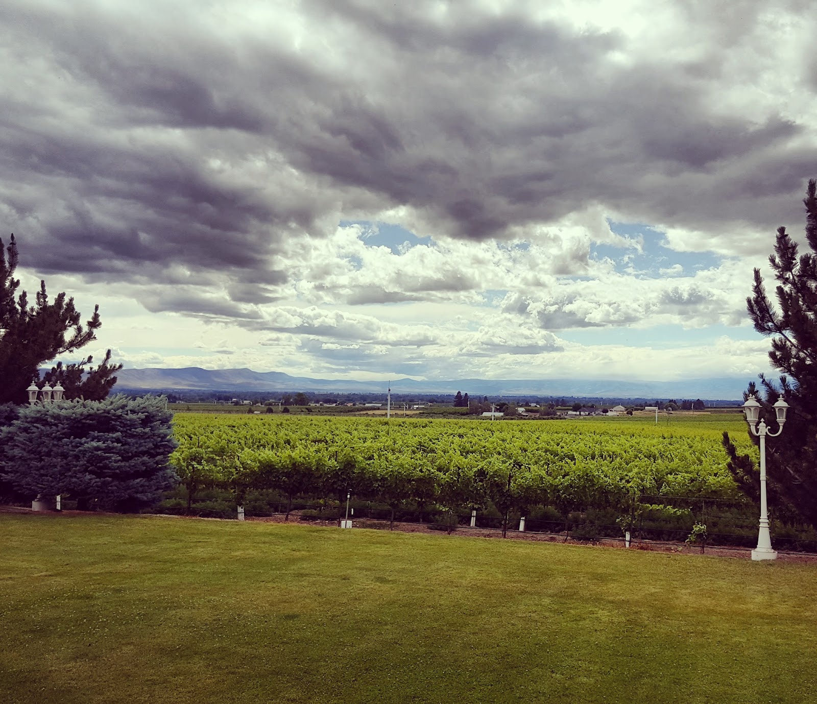 Hyatt Vineyards photo 4