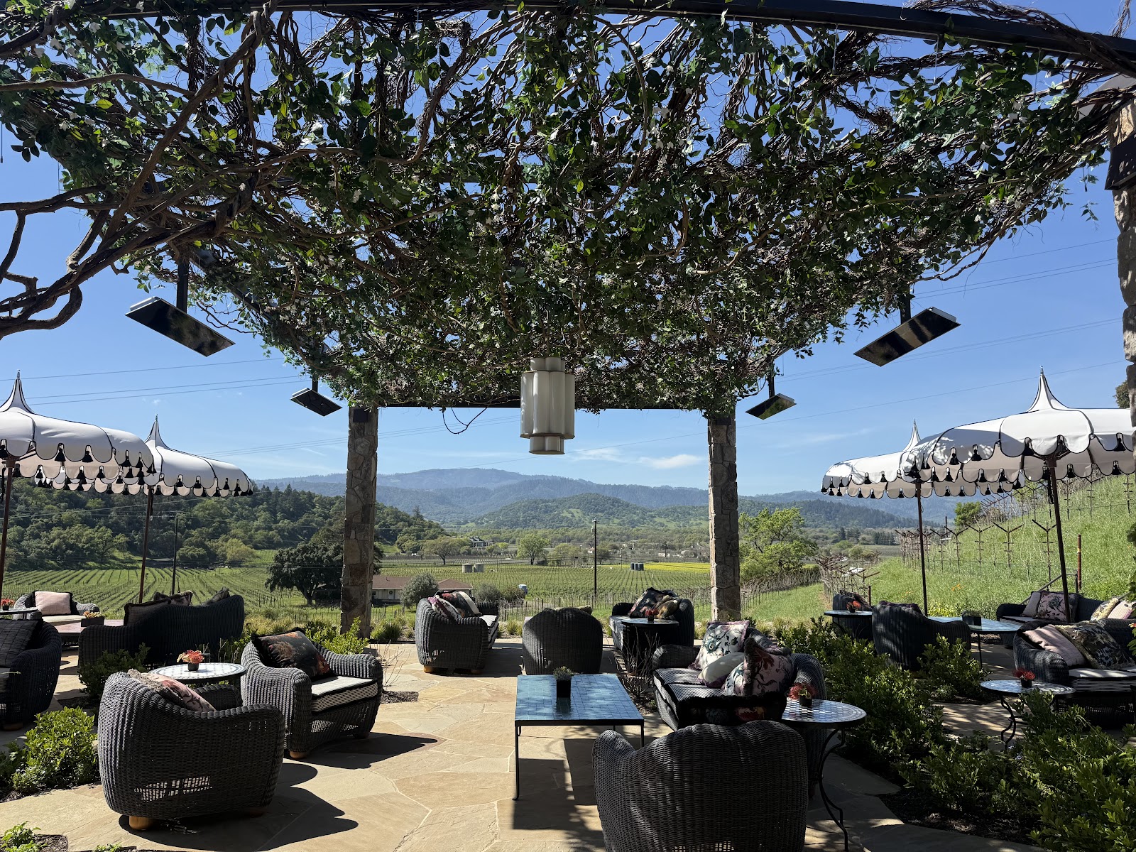 Lewis Cellars photo 6