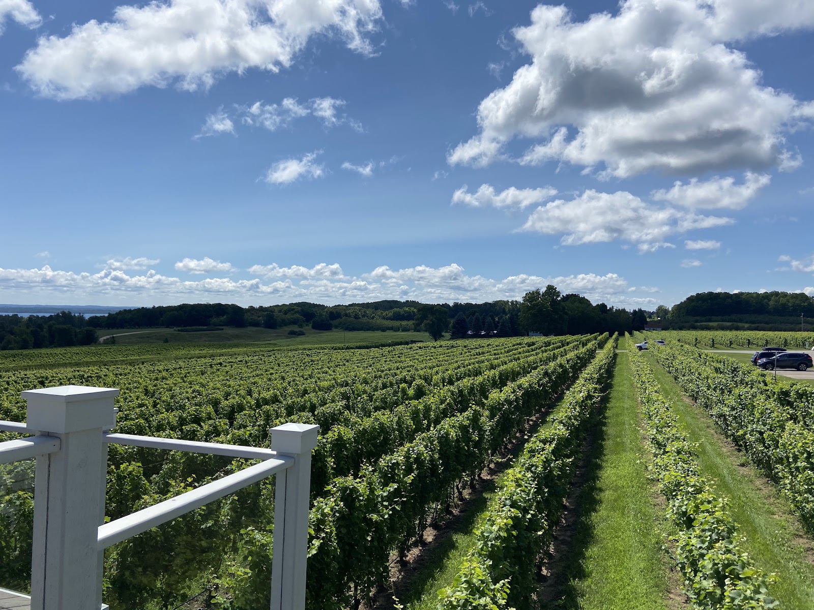 Brys Estate Vineyard & Winery photo 4