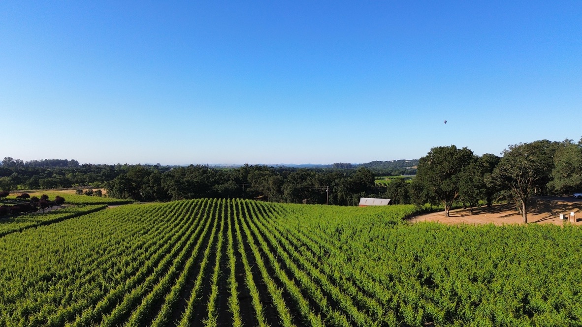 Domaine de la Rivière photo 6