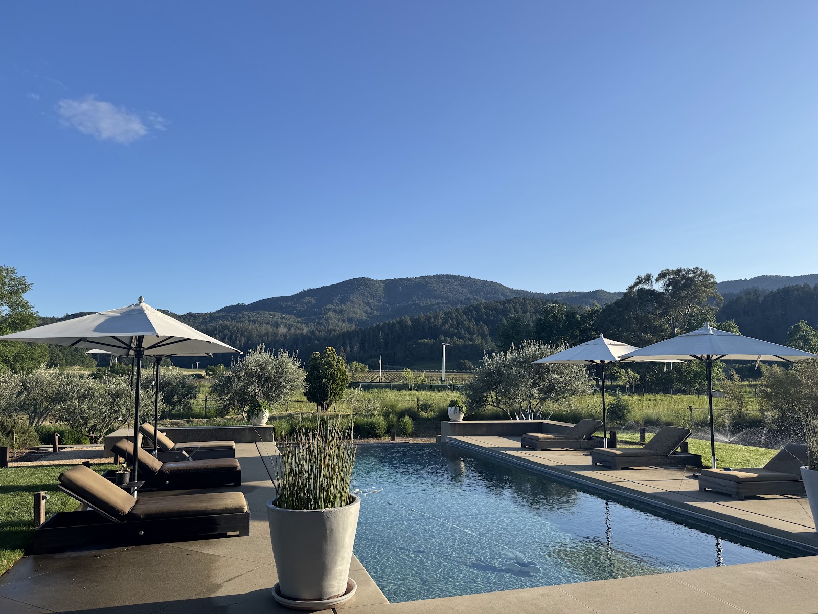 Revelette Wines photo 4