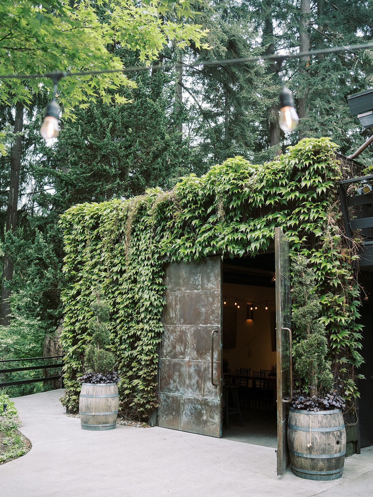 JM Cellars photo 6