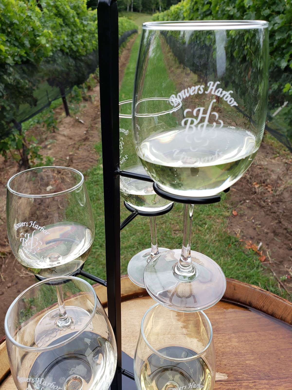 Bowers Harbor Vineyards photo 4