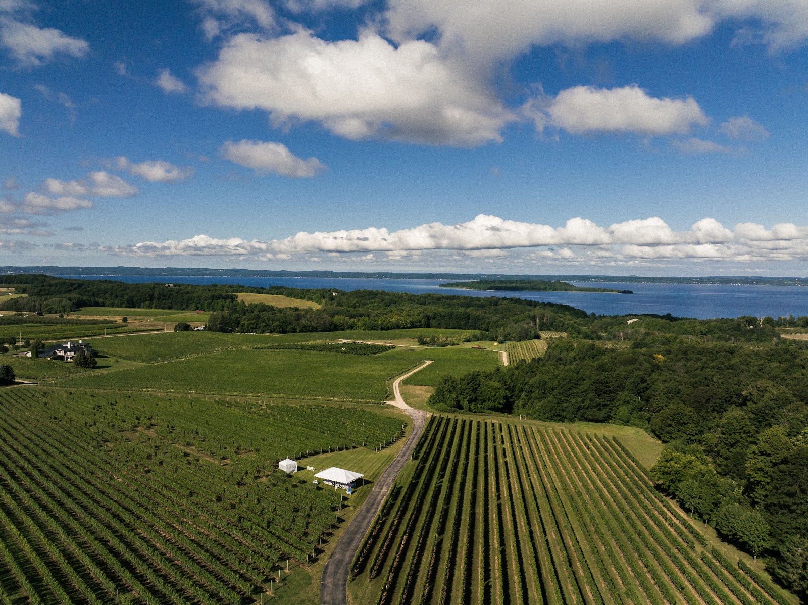Chateau Grand Traverse photo 1
