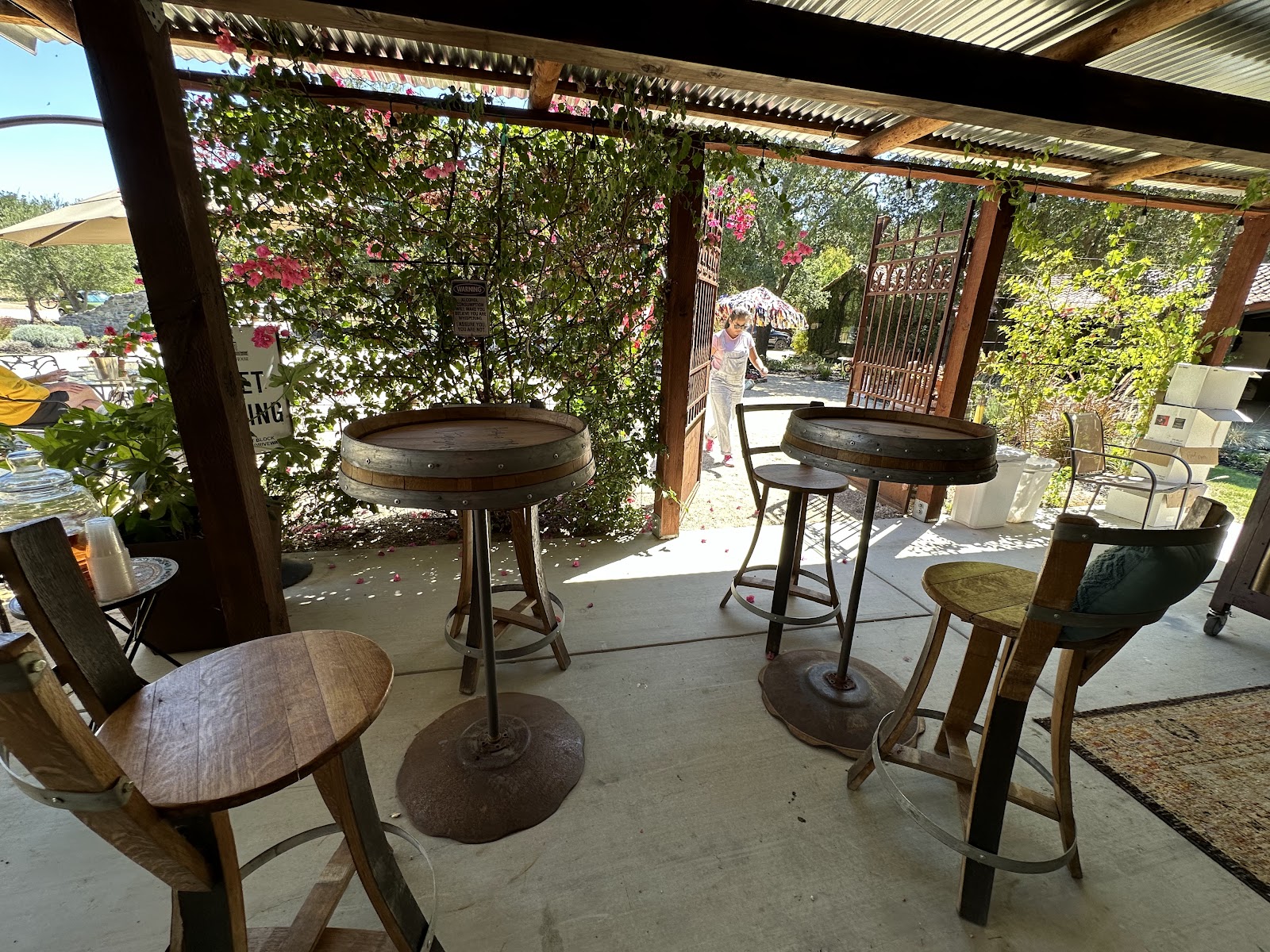 Horse Thief Vineyard photo 4