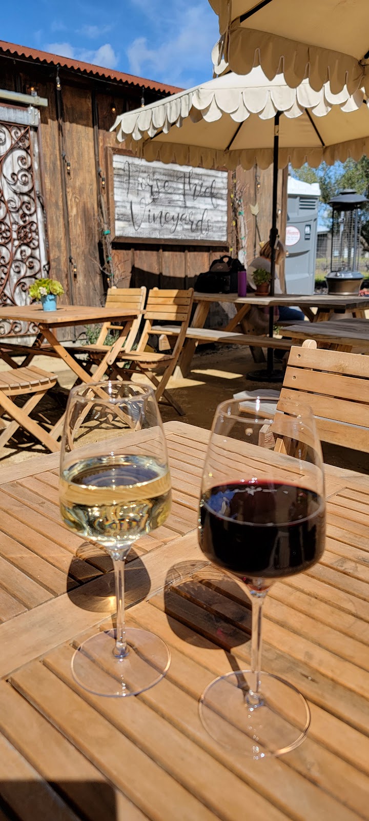 Horse Thief Vineyard photo 6