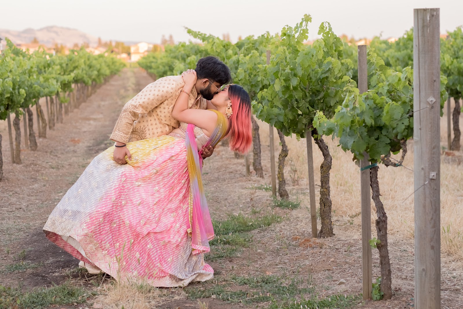 Guglielmo Winery photo 4
