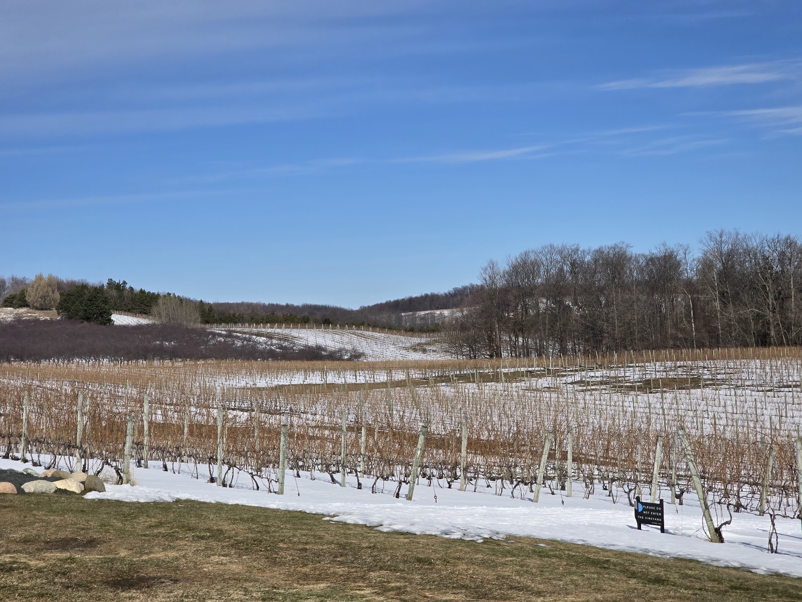 Blustone Vineyards photo 4