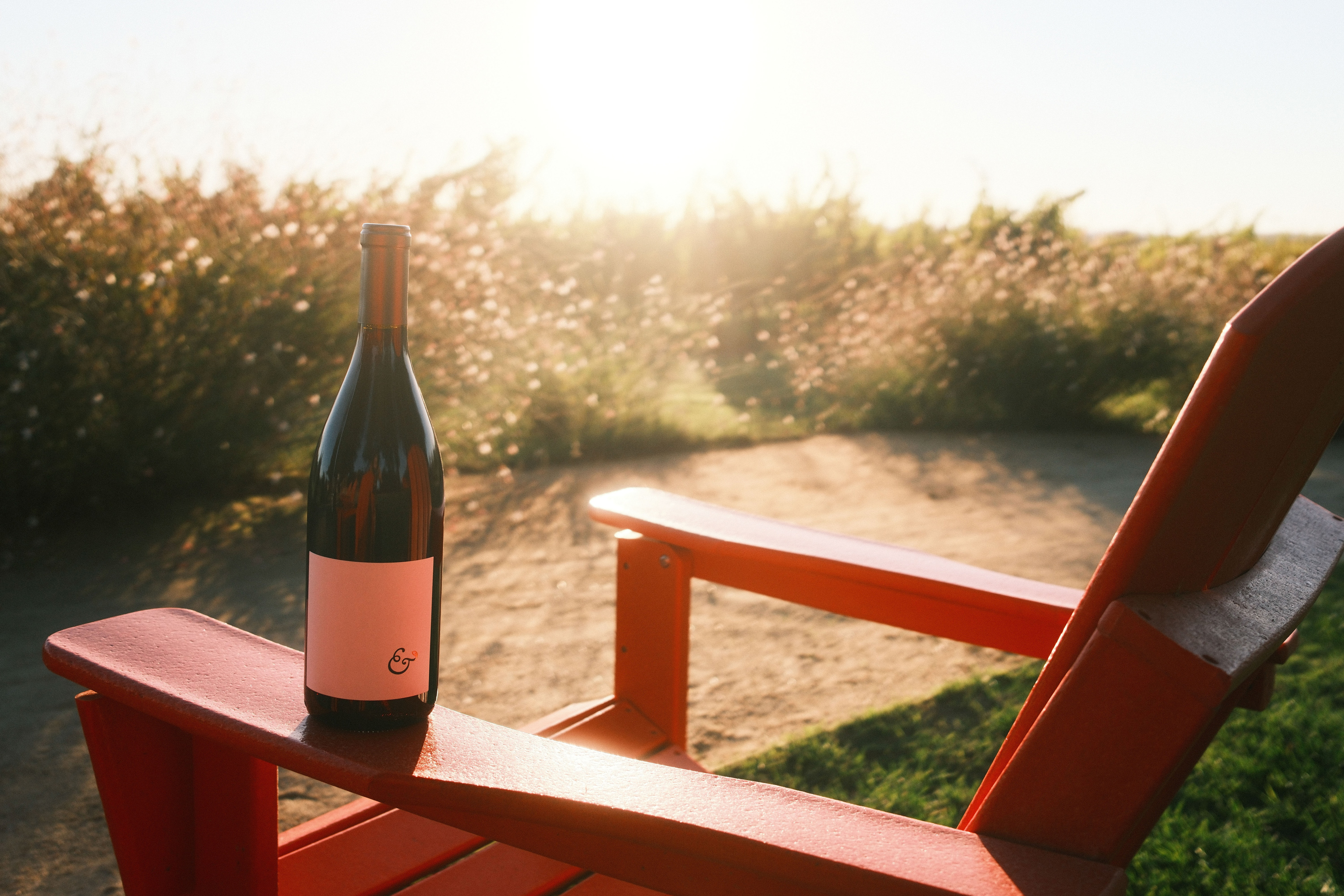 Hook & Ladder Vineyards & Winery photo 3
