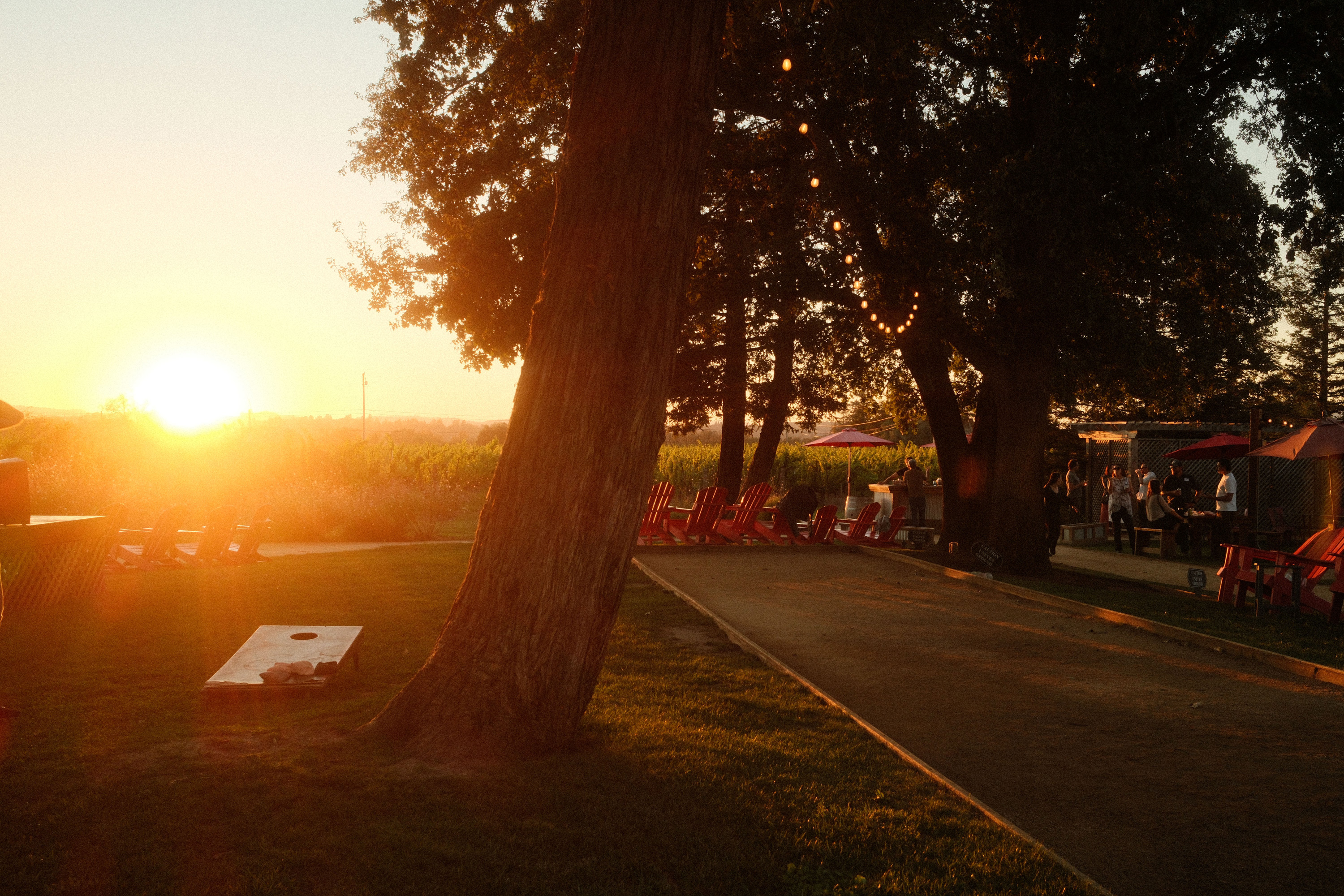 Hook & Ladder Vineyards & Winery photo 5