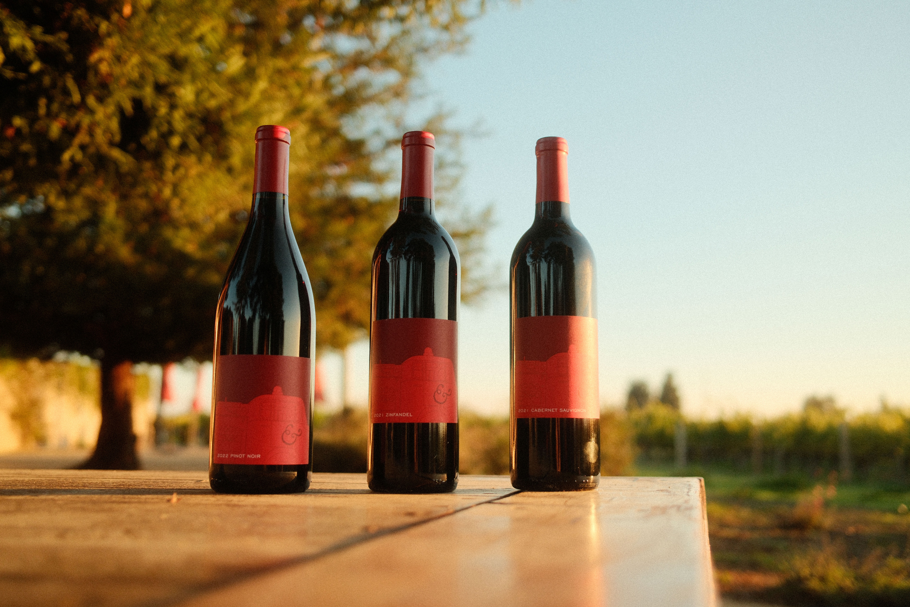 Hook & Ladder Vineyards & Winery photo 10