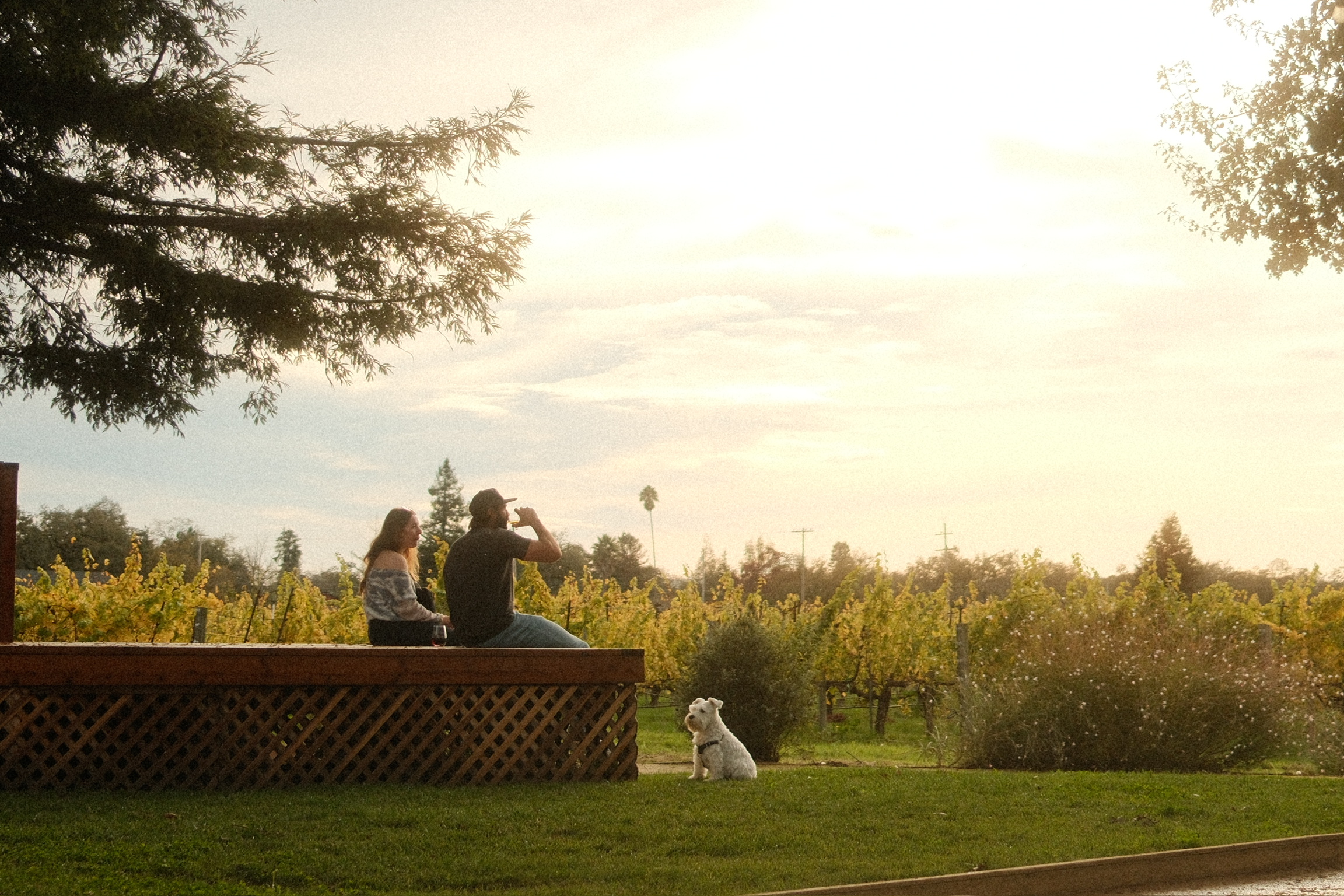 Hook & Ladder Vineyards & Winery photo 13