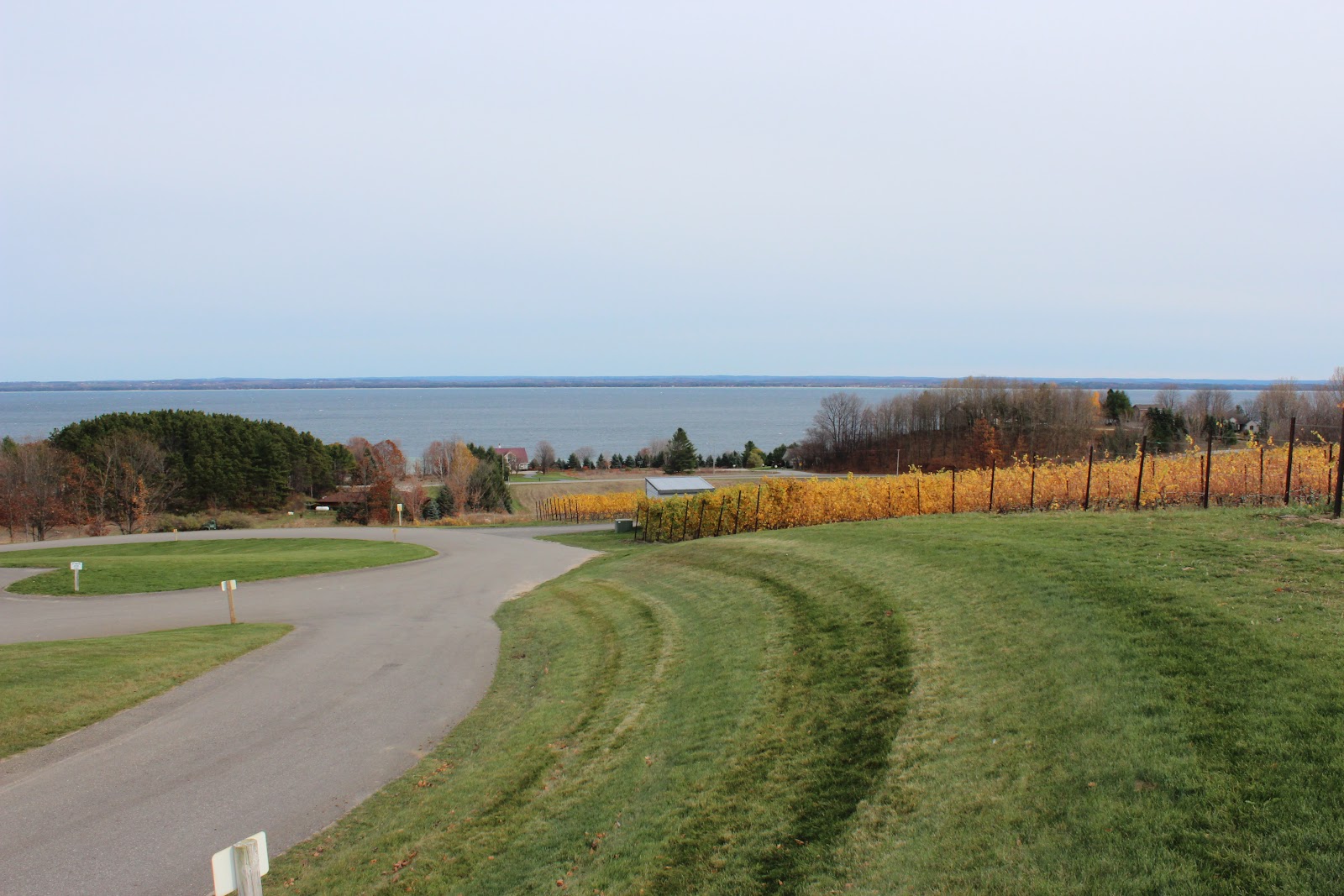 2 Lads Winery photo 4