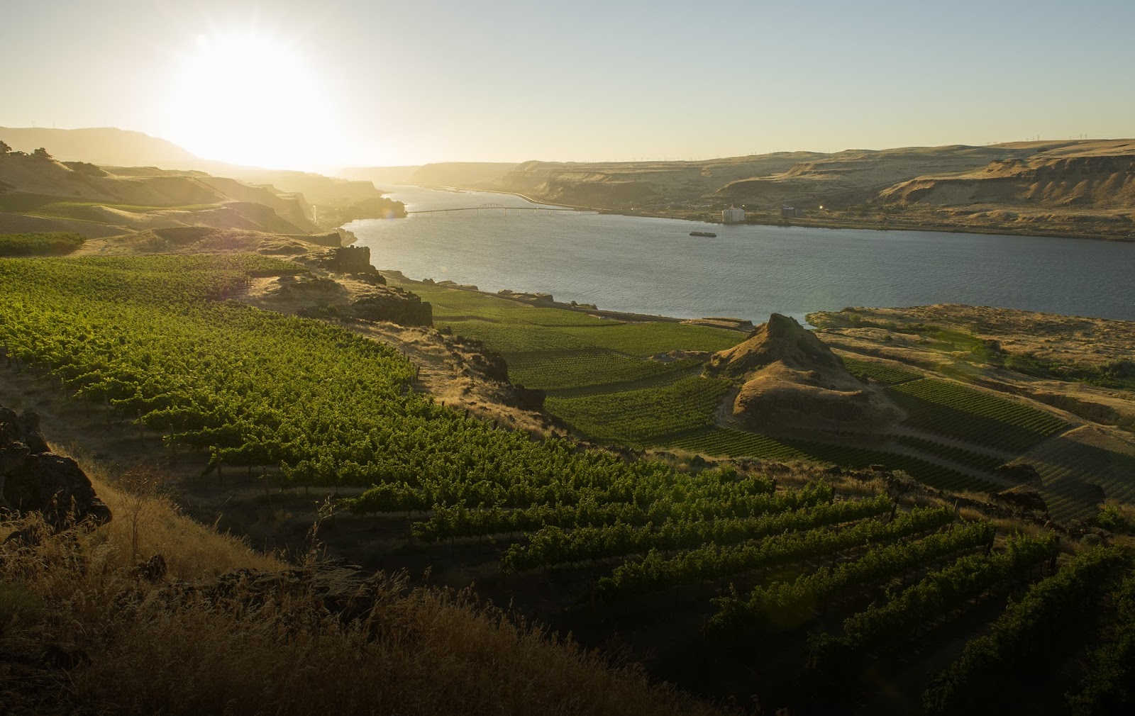 Maryhill Winery photo 1