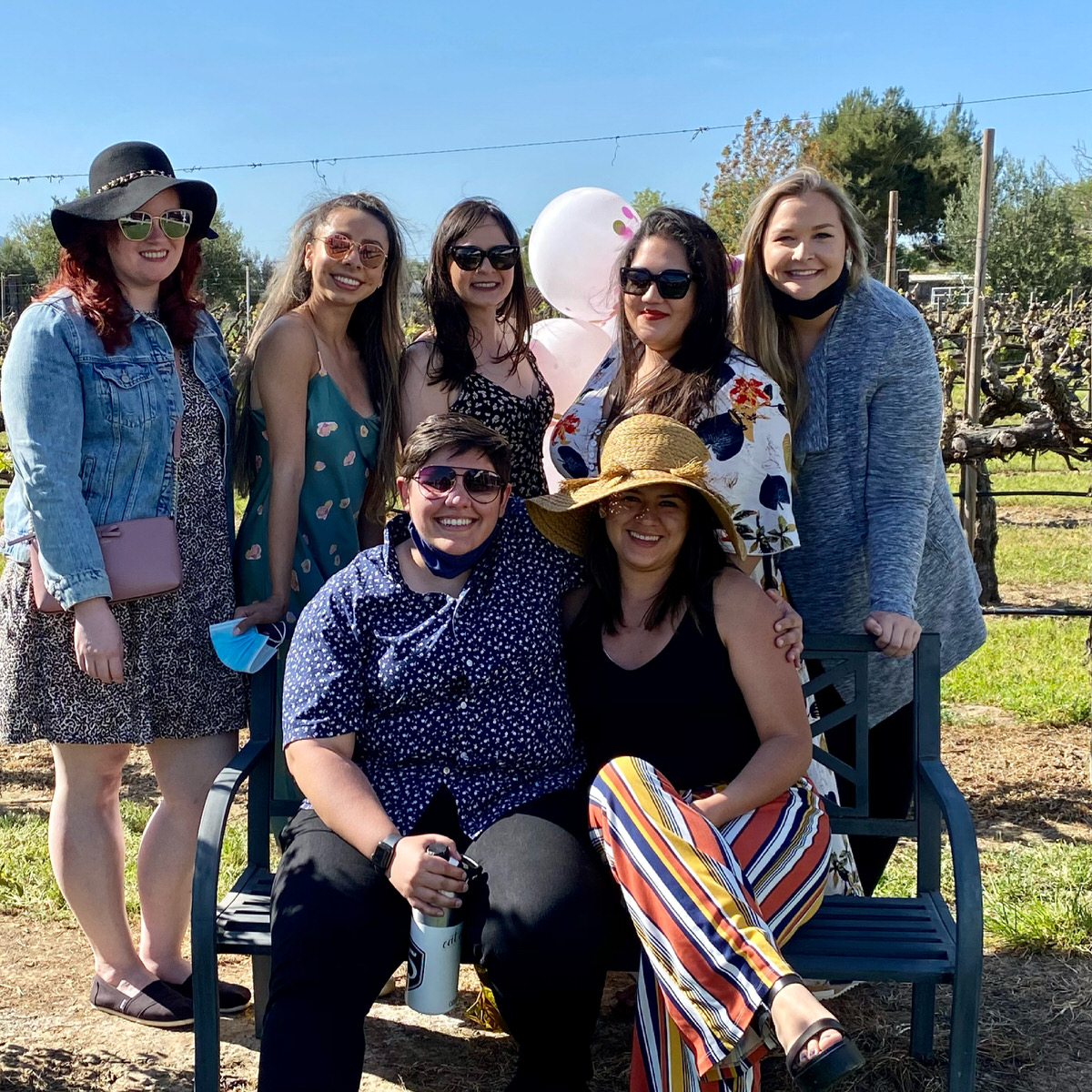 P & V Winery photo 5
