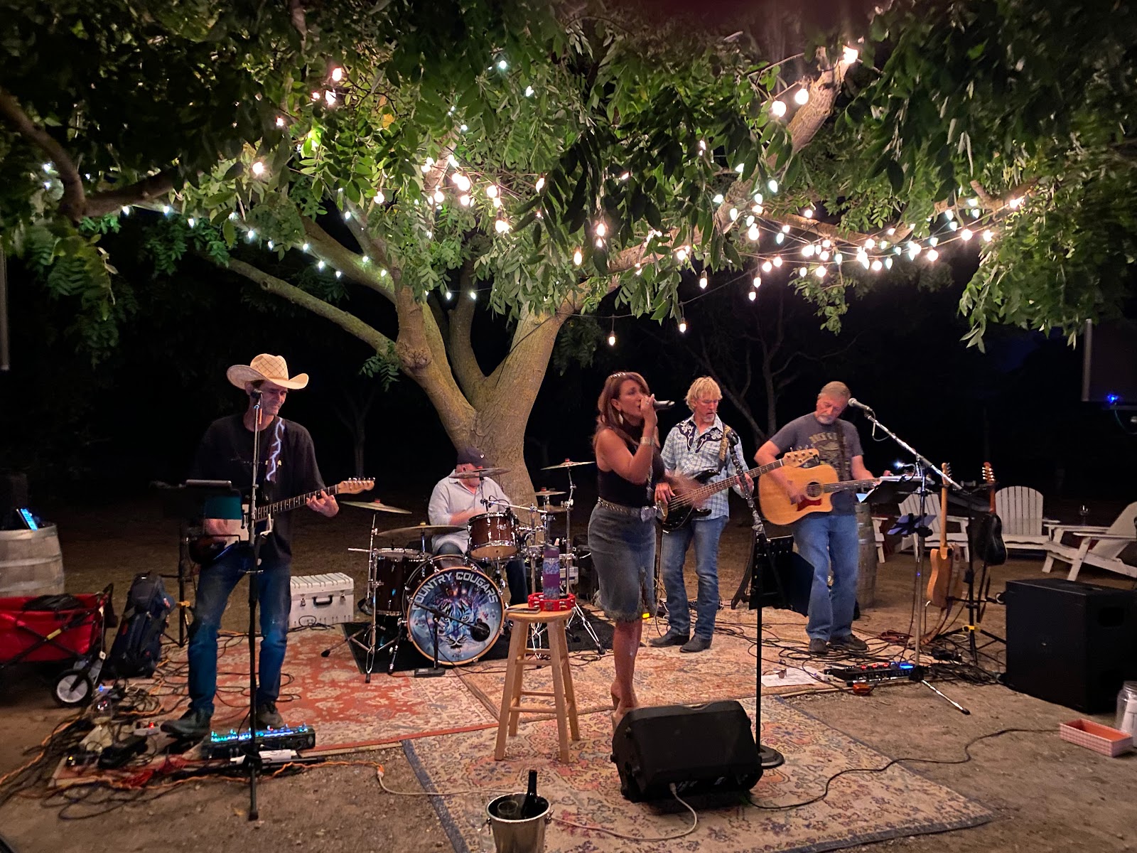 P & V Winery photo 6
