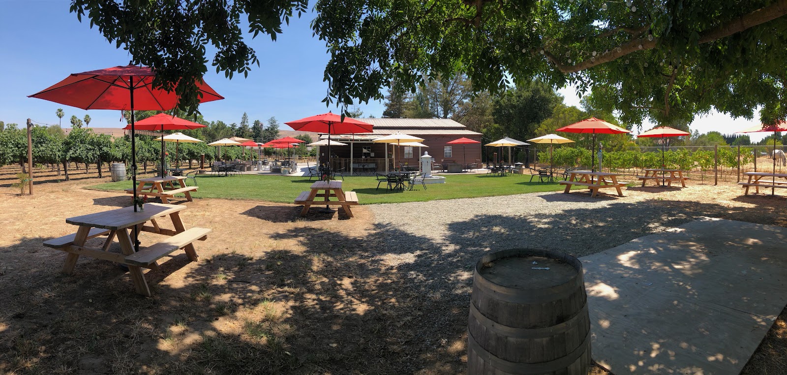 P & V Winery photo 1