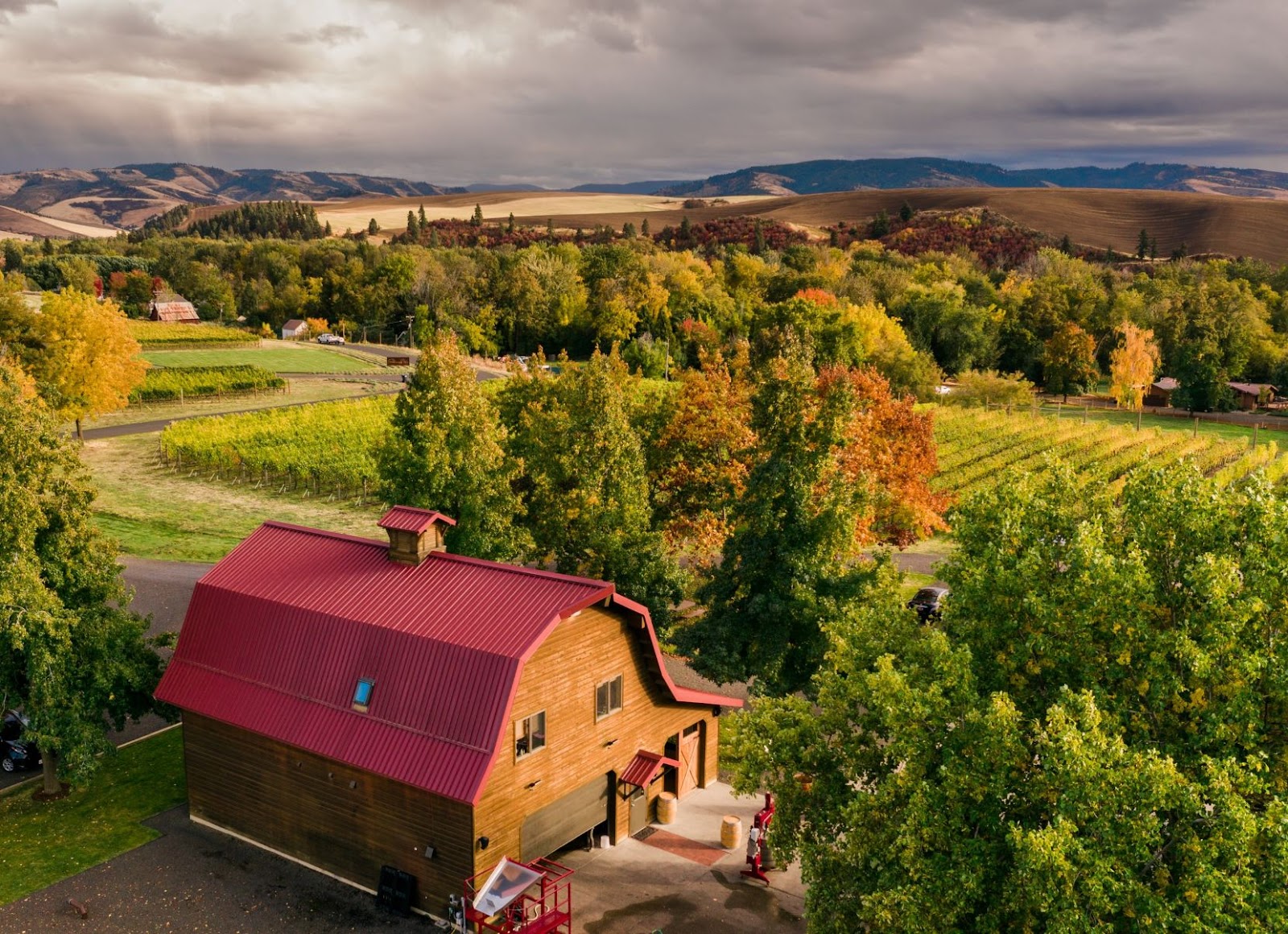 Walla Walla Vintners photo 5