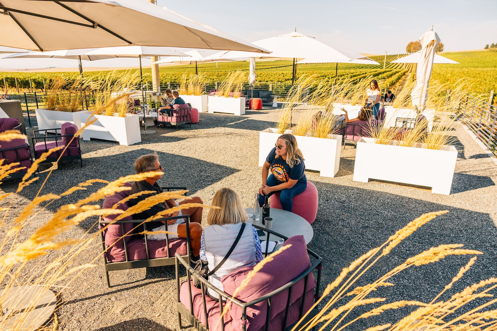 Walla Walla Vintners photo 1