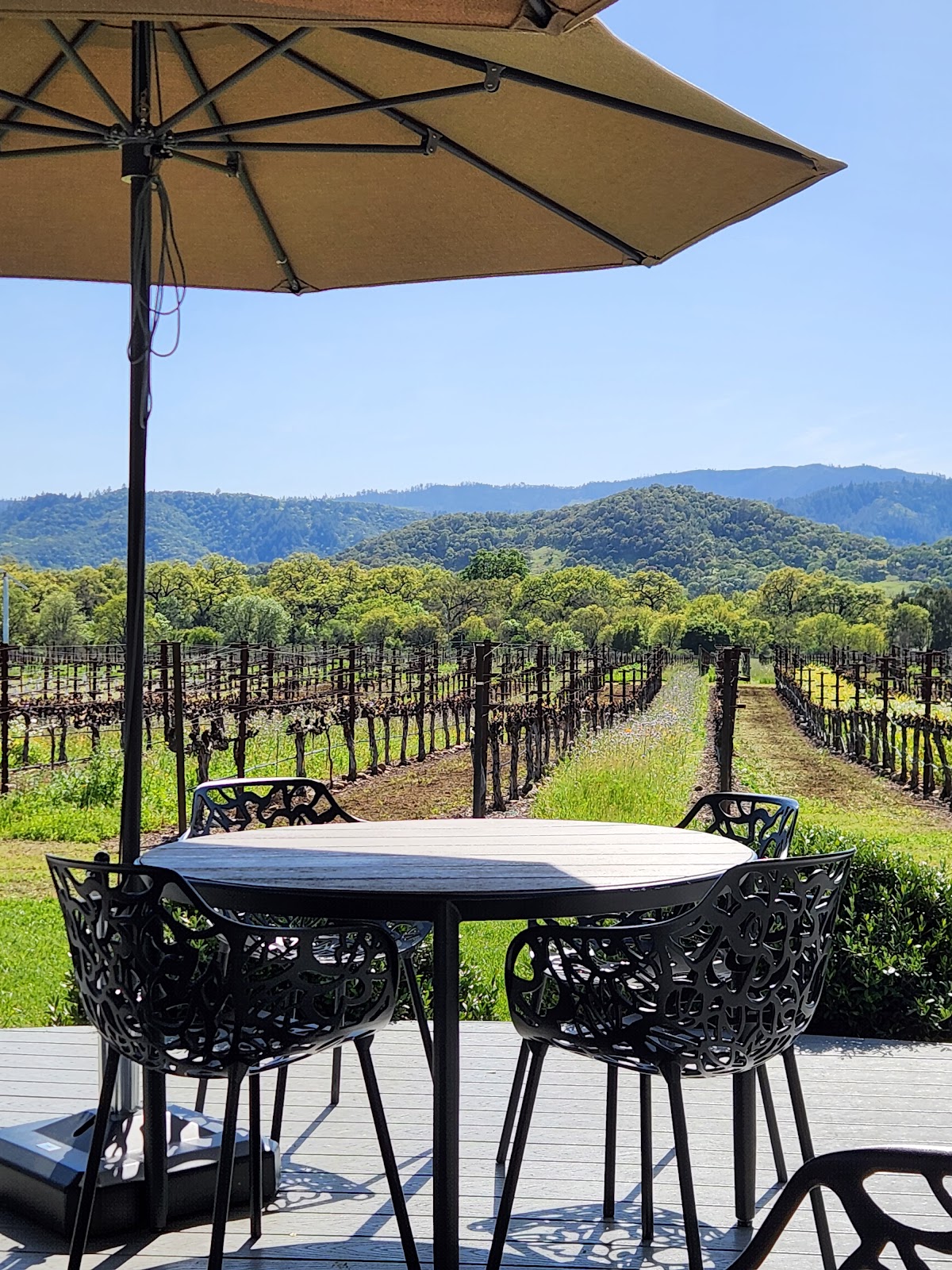 Goosecross Cellars photo 4