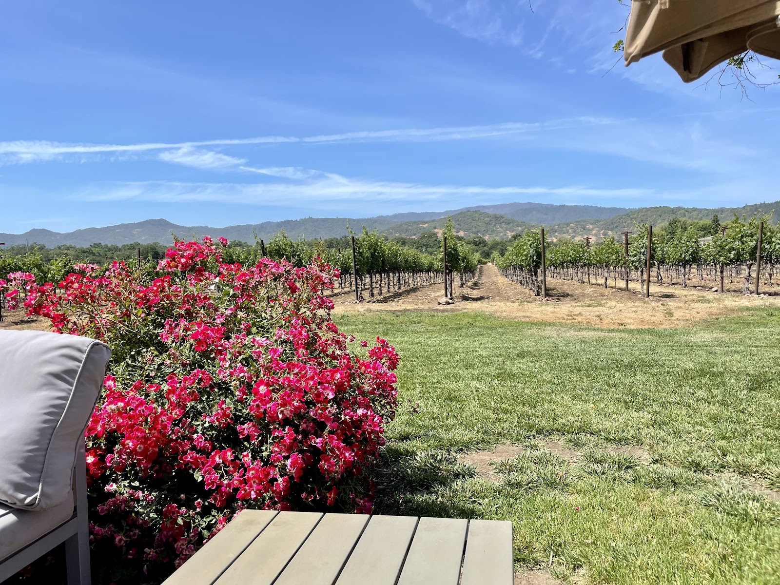 Goosecross Cellars photo 5