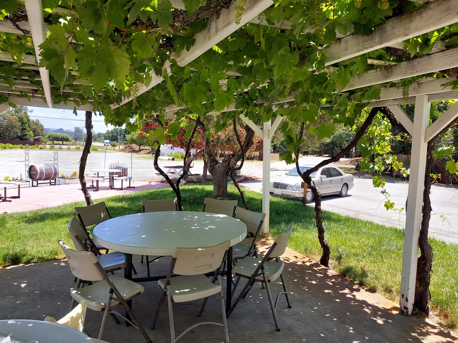 Hecker Pass Winery photo 6