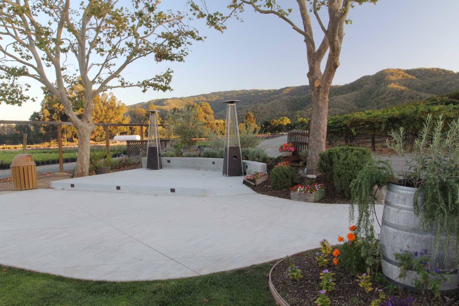 Sarah's Vineyard photo 4