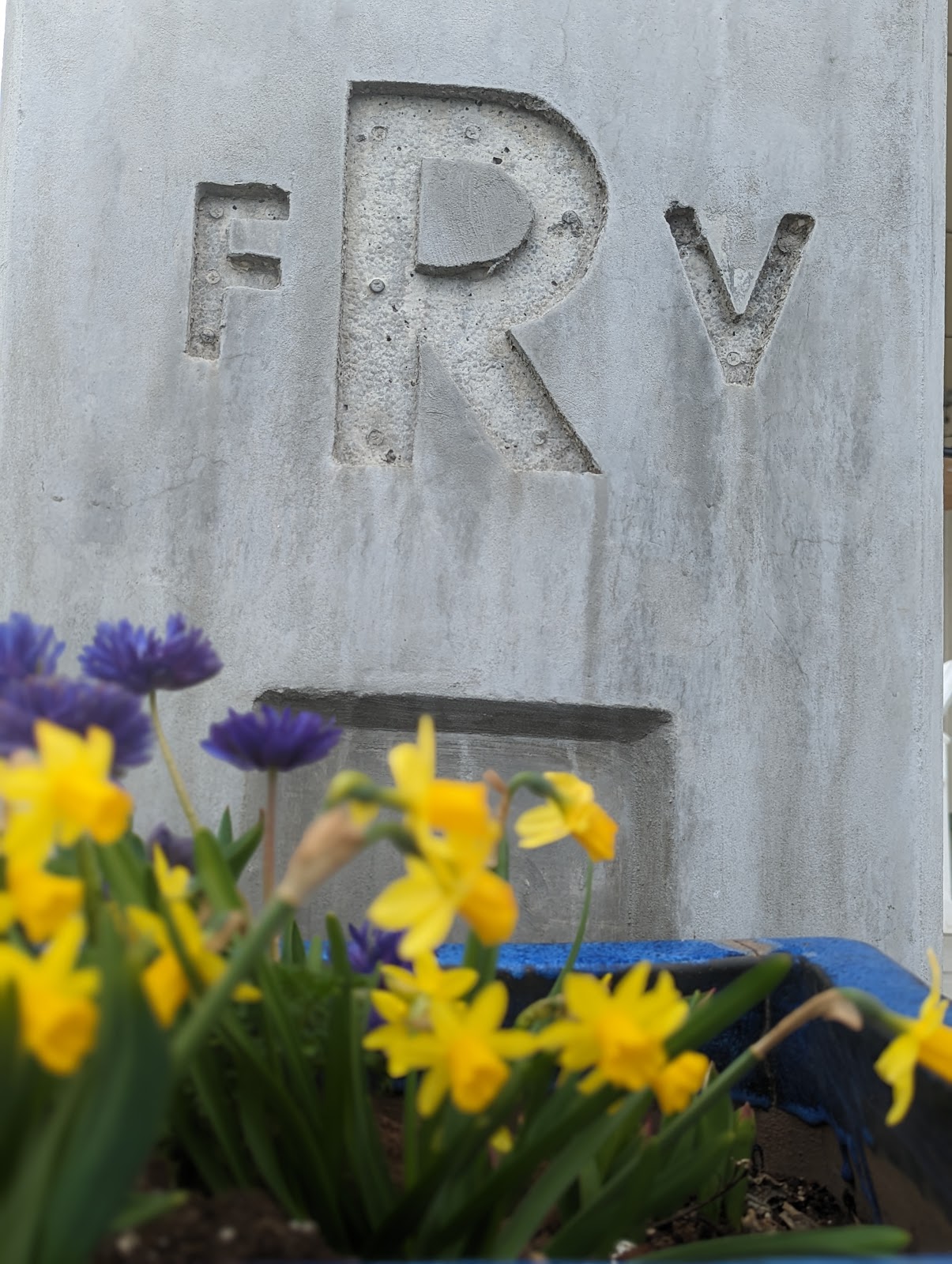 Reynvaan Family Vineyards photo 4