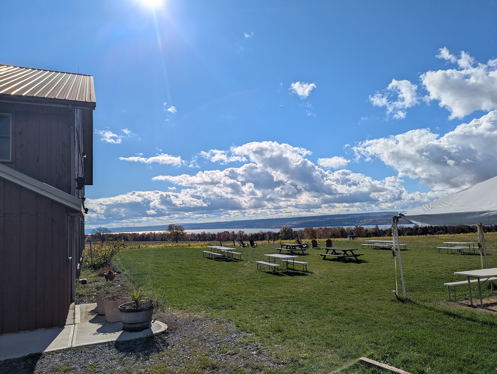 Long Point Winery photo 1