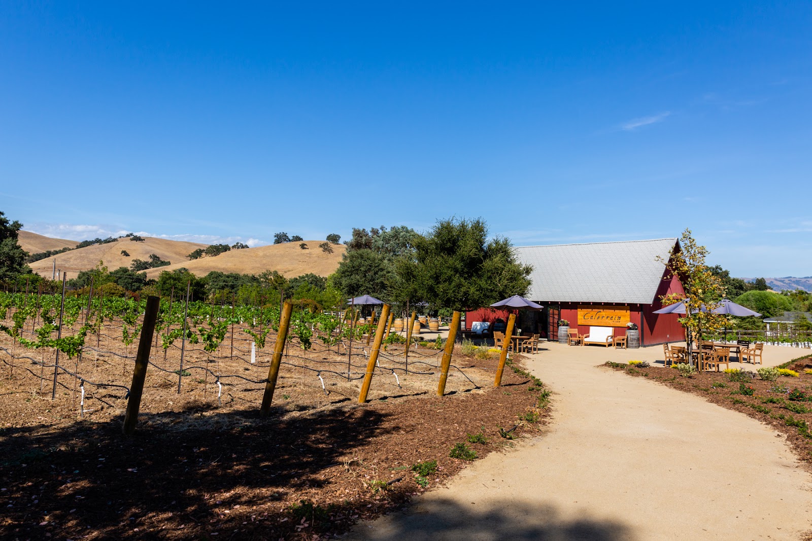 Calerrain Wines photo 6