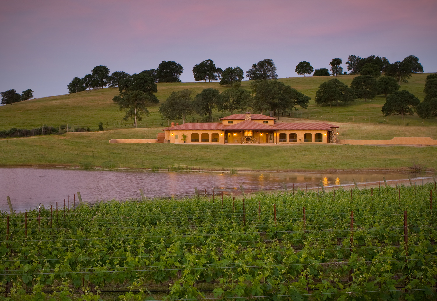 Naggiar Vineyards photo 5